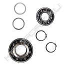 Комплект подшипников Kit, S Frame 50 Bearing kit (6307+ 3309), Grundfos